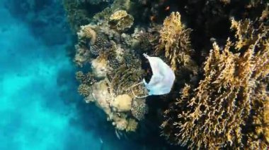 Virüs. Tıbbi maske denizde yüzüyor..