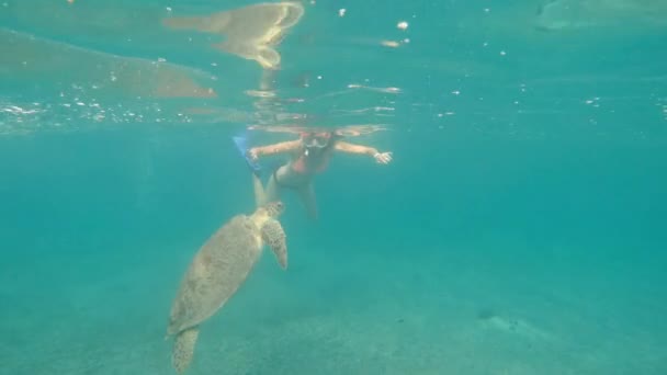 Meer Ein Mädchen Mit Unterwassermaske Schwimmt Mit Einer Großen Schildkröte — Stockvideo