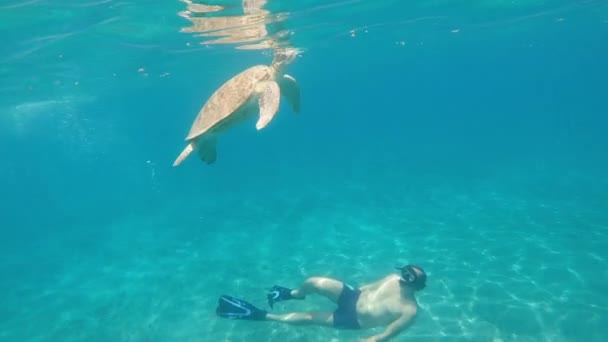 Meer Ein Mann Mit Unterwassermaske Und Flossen Schwimmt Meer Neben — Stockvideo