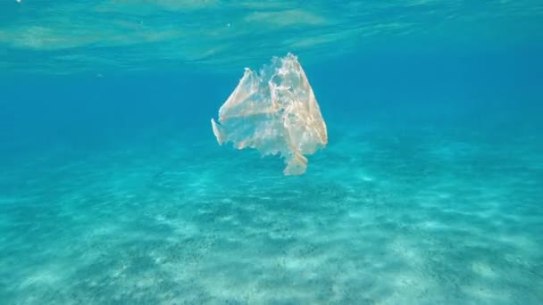 Poluição Mar Saco Plástico Flutuar Mar — Vídeo de Stock