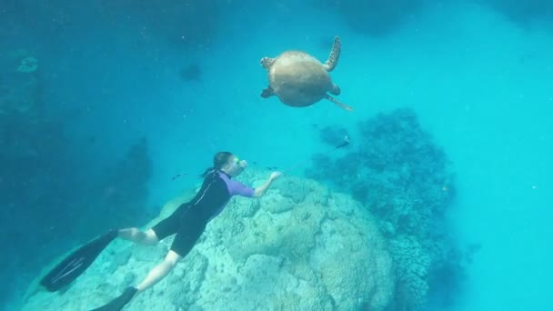 Море Чоловік Підводній Масці Плавці Плавають Морі Поруч Великою Черепахою — стокове відео