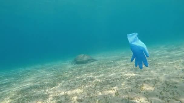 Virüs Eldiven Denizde Yüzer Arka Planda Büyük Bir Kaplumbağa Yüzer — Stok video