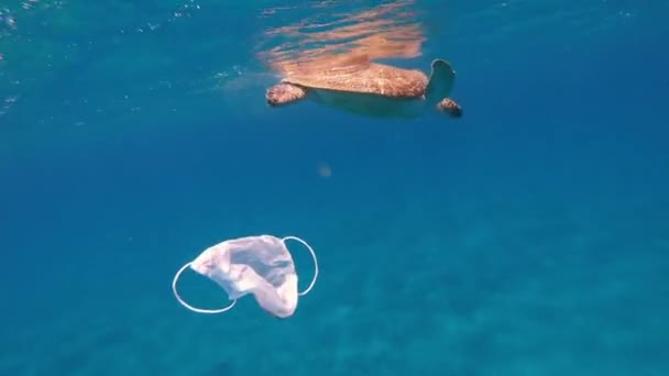 医疗面罩一个医疗面罩在海里飘浮 一只大乌龟在后面游动 — 图库视频影像