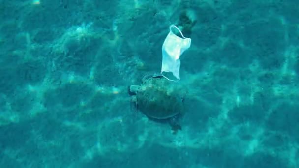 Medical Mask Medical Mask Floats Sea Large Turtle Swimming Background — Stock Video