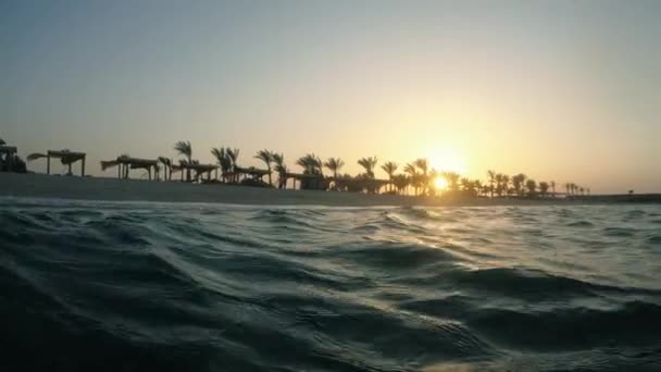 Mar Salida Del Sol Fondo Del Mar Egipto Mar Rojo — Vídeos de Stock