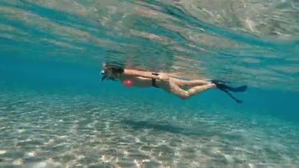 Θάλασσα Μια Γυναίκα Μάσκα Και Αναπνευστήρα Κολυμπάει Στη Θάλασσα Στην — Αρχείο Βίντεο