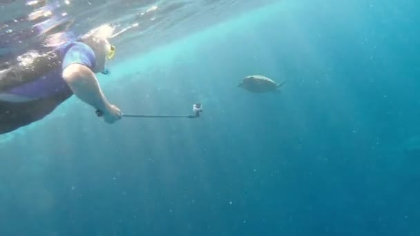 一个戴着水下面具和鱼鳍的男人在大海龟旁边的海里游泳 — 图库视频影像