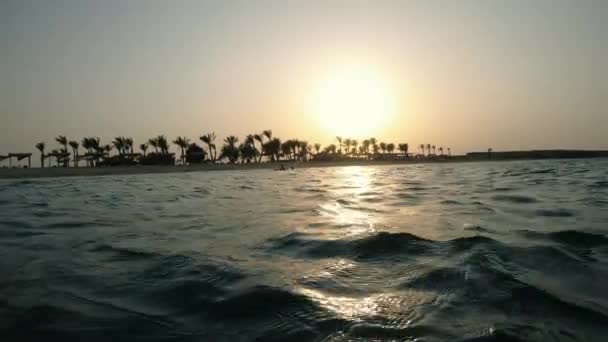 Mar Salida Del Sol Fondo Del Mar Egipto Mar Rojo — Vídeo de stock