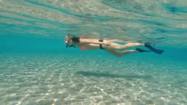 Deniz Sualtı Maskeli Şnorkel Takmış Bir Kadın Denizde Yüzüyor Mısır — Stok video