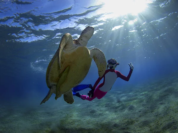 잠수부와 거북이 오르고 있습니다 — 스톡 사진