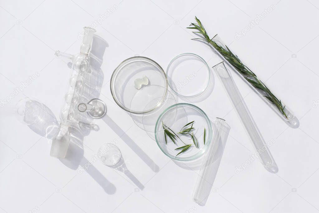Natural medicine, cosmetic research, bio science, organic skin care products. Serum glass bottle with pipette in petri dish on white background. Top view, flat lay. Concept skincare. Dermatology