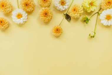 Turuncu, beyaz, sarı pastel arka planda çiçekli yıldız çiçekleri. Çiçek kompozisyonu. Düz konum, üst görünüm, kopyalama alanı. Yaz, sonbahar konsepti.