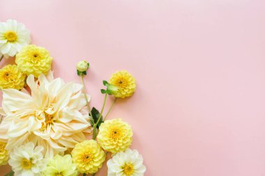 Sarı, beyaz çiçekler, pembe arka planda yıldız çiçekleri. Çiçek kompozisyonu. Düz konum, üst görünüm, kopyalama alanı. Yaz, sonbahar konsepti.