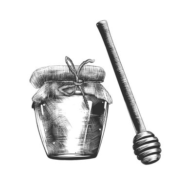 Posterler, süsleme ve baskı için oyulmuş stil illüstrasyon vektör. Kavanoz bal ve beyaz arka plan üzerinde izole tek renkli ahşap Kepçe el çizilmiş kroki. Vintage gravür tarzı ayrıntılı.