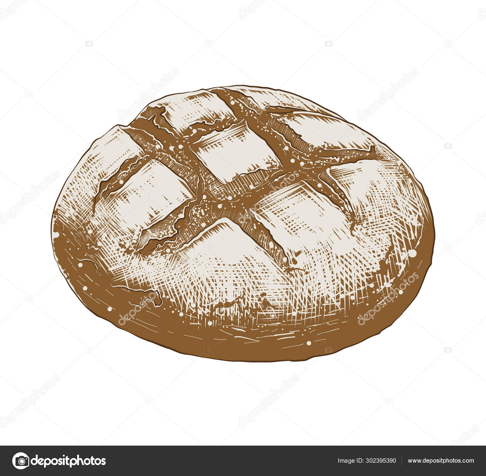 Hand Drawn Sketch Of Bread Loaf In Colorful Isolated On White Background Detailed Vintage Woodcut Style Drawing Vector Image By C De Malia Vector Stock Hand Drawn Sketch Of Bread Loaf In Colorful Isolated On White Background Detailed Vintage Woodcut Style Drawing Vector Image By C De Malia Vector Stock