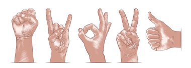 Beyaz arka planda izole edilmiş renkli el çizilmiş çizimler. Detaylı vintage ahşap tarzı çizim. 