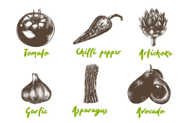 Collection Légumes Biologiques Style Gravé Vectoriel Pour Affiches Logo Menu — Image vectorielle