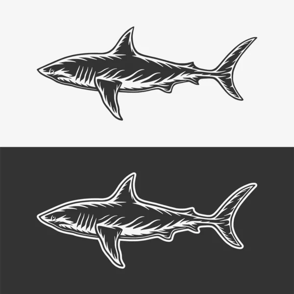 Vintage Retro Woodcut White Shark Can Used Emblem Logo Badge — Stock Vector