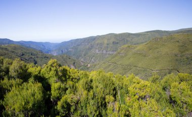 Rabaçal bakış açısı