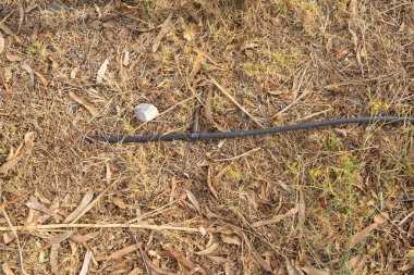 Kuru ot ve yaprakların üzerine uzanan siyah sulama borusu, su kıtlığı ve kuraklık koşullarını gösteriyor.