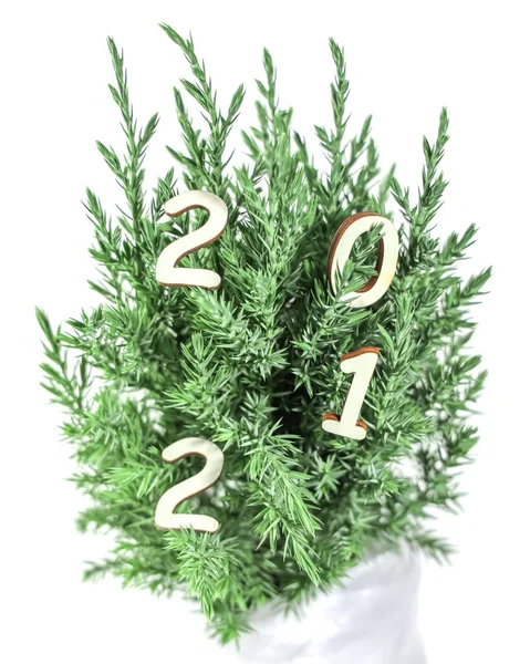 Mutlu yıllar 2021, yeni yıl konsepti, ahşap 2021 rakamları yeşil Noel ağacına asılı, beyaz üzerine izole edilmiş.