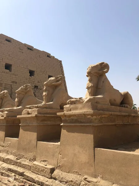Templo Aciente Luxor Egipto — Foto de Stock