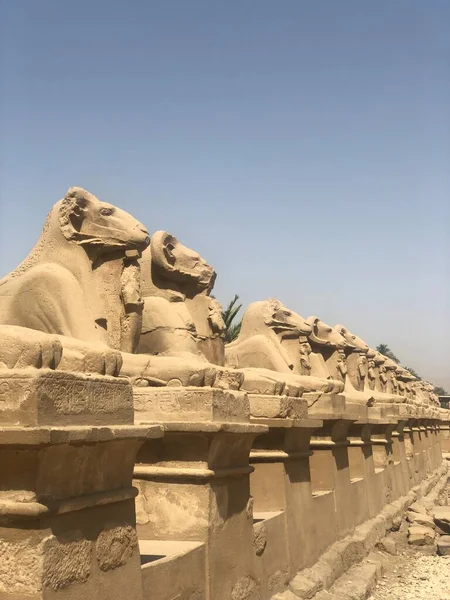 Acient Tempel Luxor Ägypten — Stockfoto