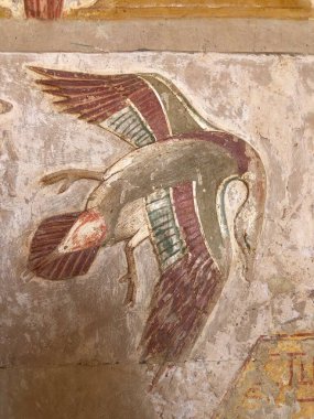 Luxor 'daki Antik Hatshepsut Tapınağı