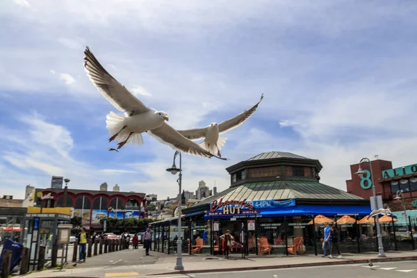 Balıkçılar San Francisco Rıhtımı