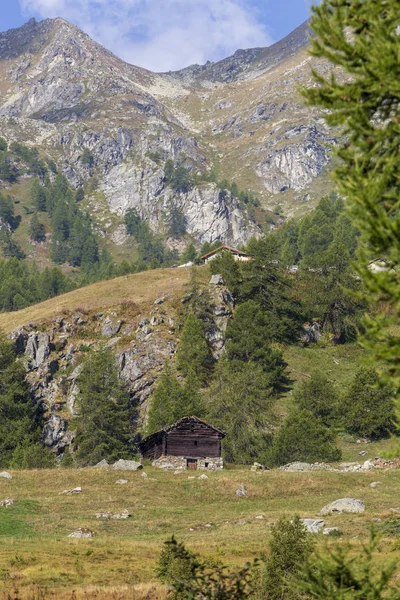Yaz aylarında İtalyan alp manzara