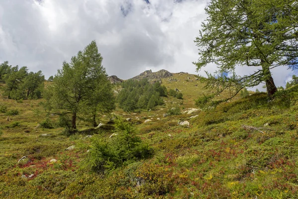 Yaz aylarında İtalyan alp manzara