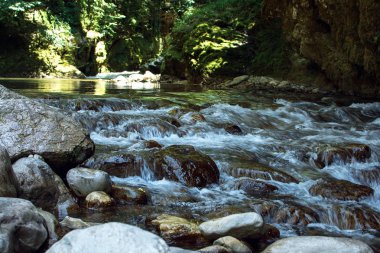 Temiz su yosun kaplı taş içinde Gürcistan'dan düşen vahşi dağ Nehri