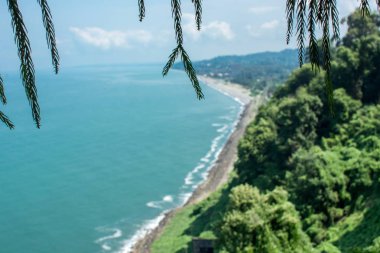 Mtsvane Kontskhi (Yeşil Pelerin) bölgesinde bulunan Batumi Botanik Bahçesi, Gürcistan.