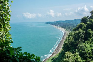 Mtsvane Kontskhi (Yeşil Pelerin) bölgesinde bulunan Batumi Botanik Bahçesi, Gürcistan.