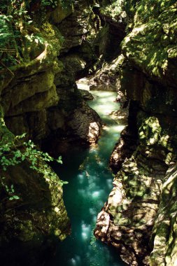 Martvili Kanyonu güzel manzarasına. Gürcistan