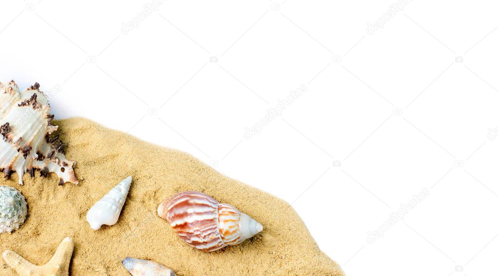Beach sand with sea shells and star on white background.Copy space for text.Vacation memories