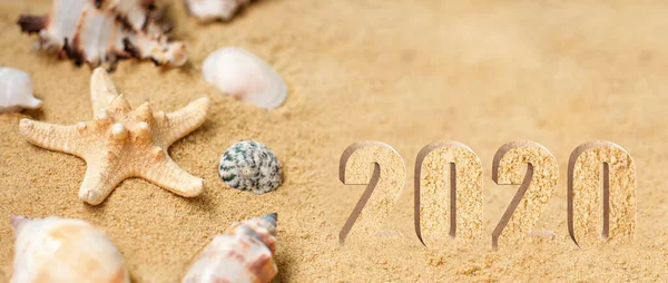 Rest 2020. Vacation memories from beach, seashell and starfish. Summer beach background travel concept. Banner.Copy space for text.