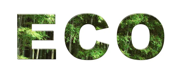Inscription Eco Bamboo Text Design — Stock Photo, Image