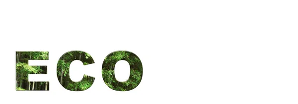 Inscriptie Eco Bamboe Tekst Ontwerp Banner Copy Ruimte Voor Tekst — Stockfoto