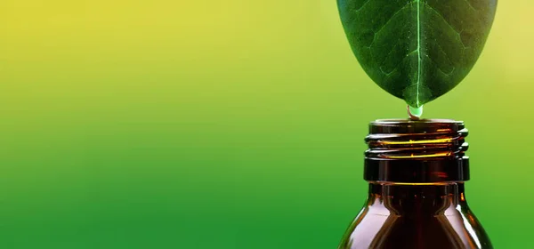 Ein Tropfen Ätherisches Fällt Von Einem Grünen Blatt Eine Bernsteinglasflasche — Stockfoto