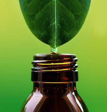 Yeşil bir yapraktan kehribar cam şişeye bir damla temel yağ damlatılır. Bitki özü. Cilt bakımı. Alternatif sağlıklı tıp.