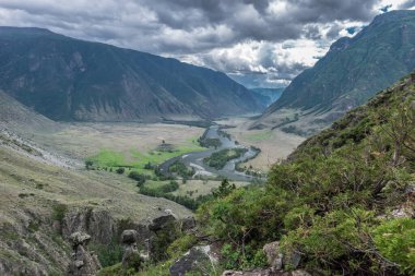 Altai dağlarındaki Chulyshman vadisinde taş mantarlar