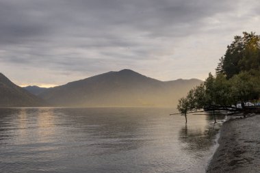Sonbaharda Altai dağlarında Teletskoye Gölü kıyısında.