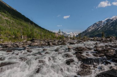 Altai dağlarındaki bir gölden akan hızlı bir nehir.