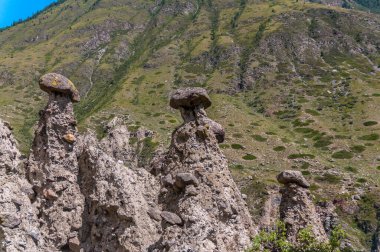 Altai dağlarındaki Chulyshman vadisinde taş mantarlar.