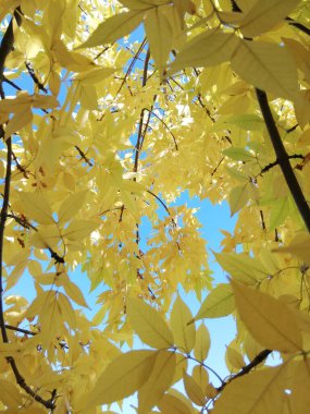  Sonbahar 2020 Ekim Mangystau