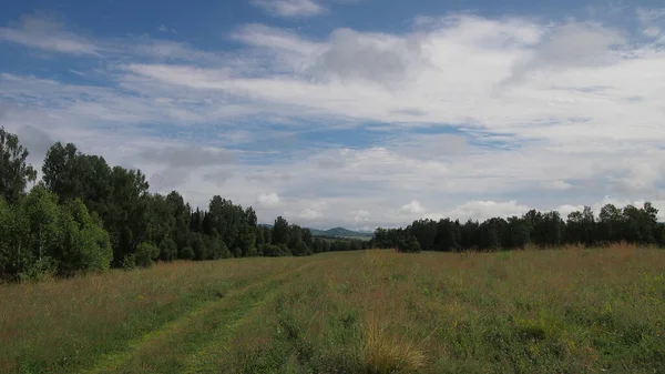 Kırsal yol orman gökyüzü