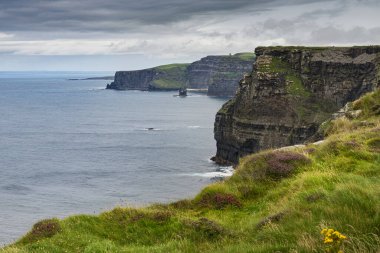Mavi gökyüzü ve beyaz bulutlarla İrlanda kıyısındaki Moher Kayalıkları manzarası.
