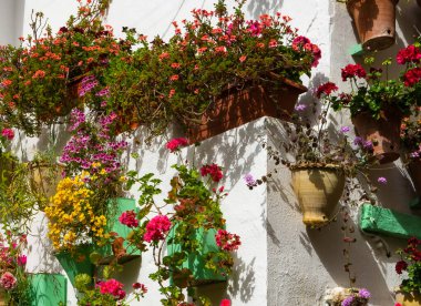 Crdoba sokaklarında çiçekler