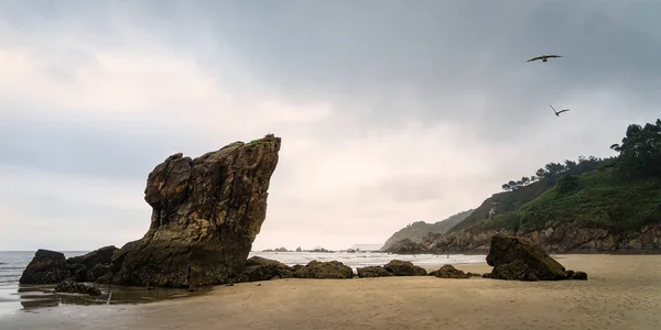 Panoramic View Playa Del Aguilar Low Tide Sunset Asturias Spain — Stock Photo, Image